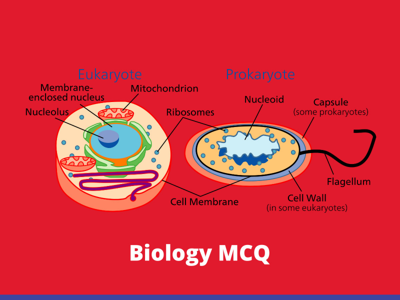 Biology MCQ Quiz & Online Test 2020 - Online Interview...